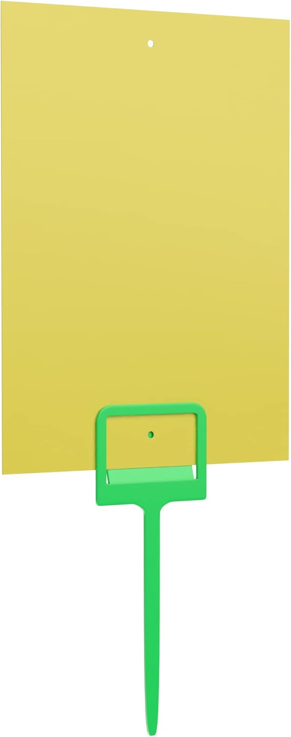 Fruit Fly Trap- Gnat Trap- Indoor Fly Trap