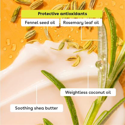 eos Lip Balm Gift Set- Peachy Keen, Limited-Edition Lip Moisturizer